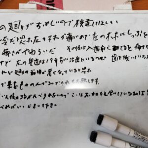 生活支援実例～100歳間近のAさん歯科受診付き添い～