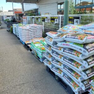 生きがいを年齢で諦めてほしくない