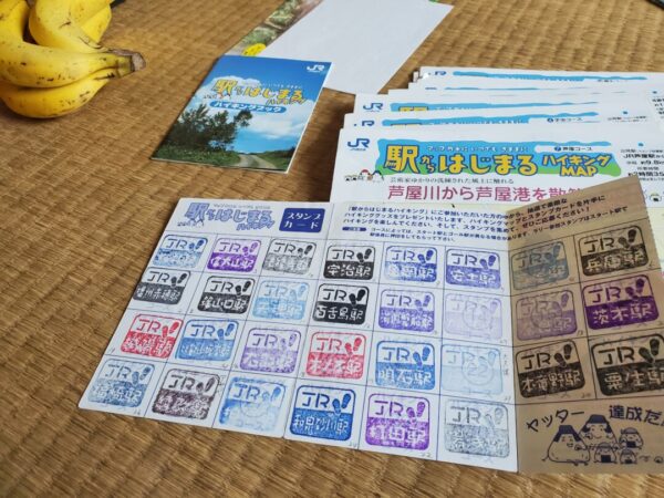 MCI(軽度認知障害)会員Aさんのその後